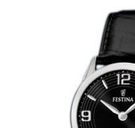 Festina Classic 165195 4