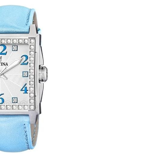 Festina Classic 165713 6