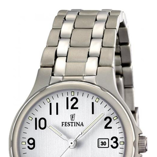 Festina Classic F164611 3