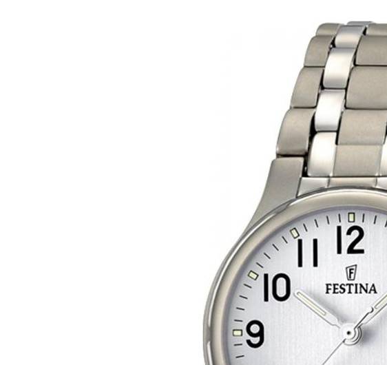 Festina Classic F164611 4