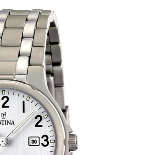 Festina Classic F164611 5