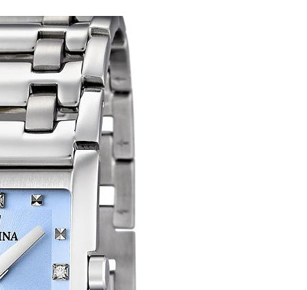 Festina Classic F165505 5