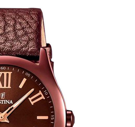 Festina Classic F166497 5