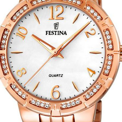 Festina Classic F167051 2