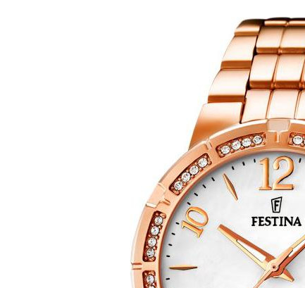 Festina Classic F167051 4