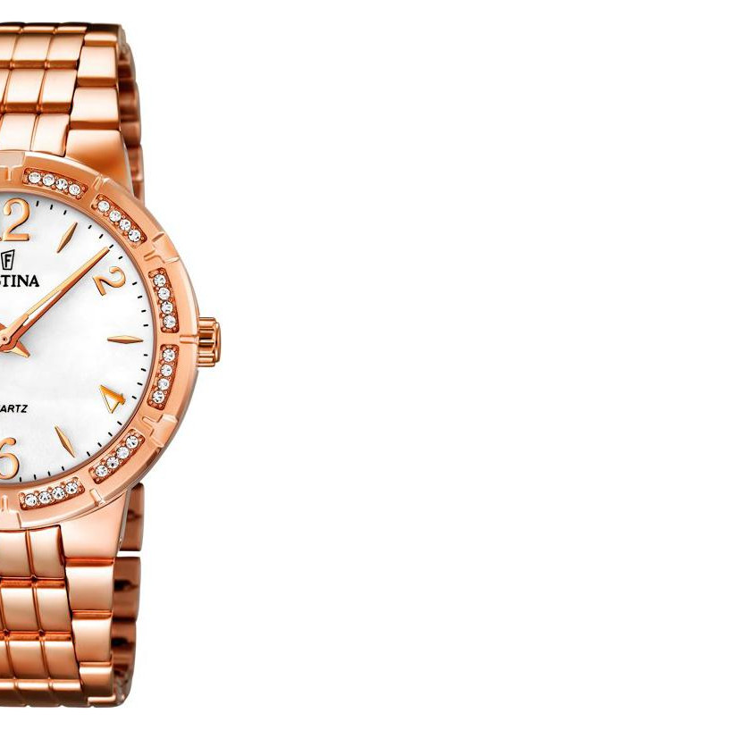 Festina Classic F167051 6