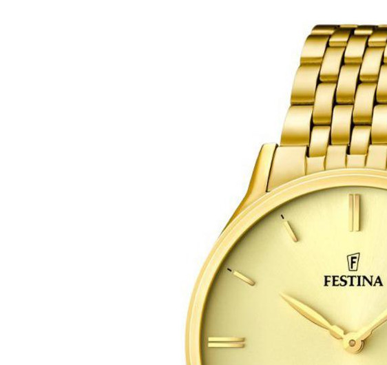 Festina Classic F167462 4