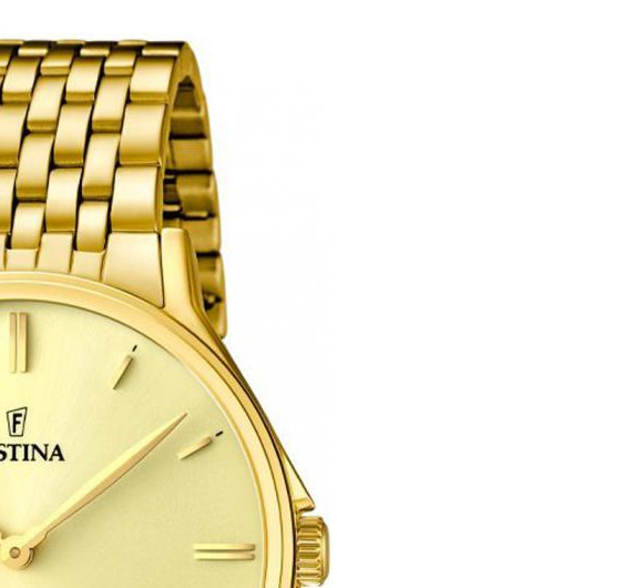 Festina Classic F167462 5