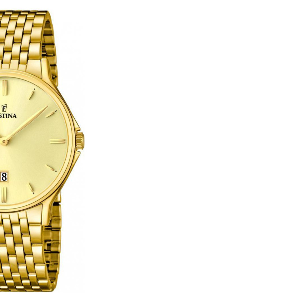 Festina Classic F167462 6