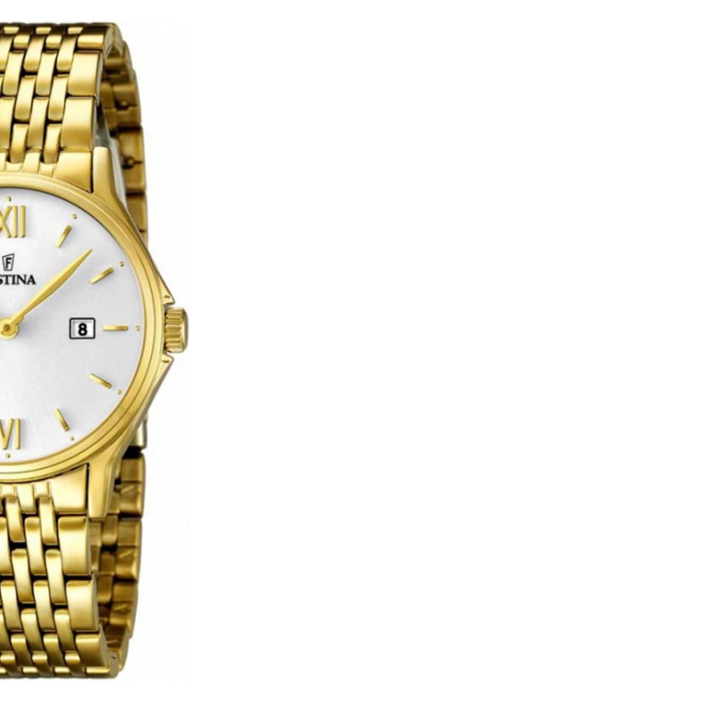 Festina Classic F167492 6