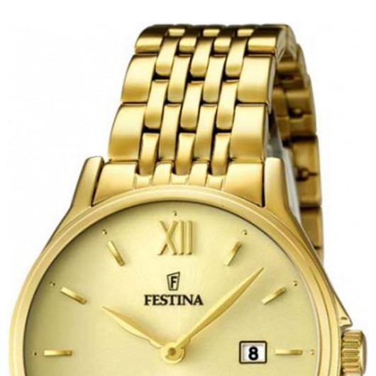 Festina Classic F167493 3