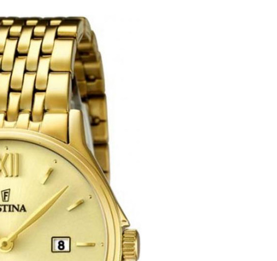 Festina Classic F167493 5