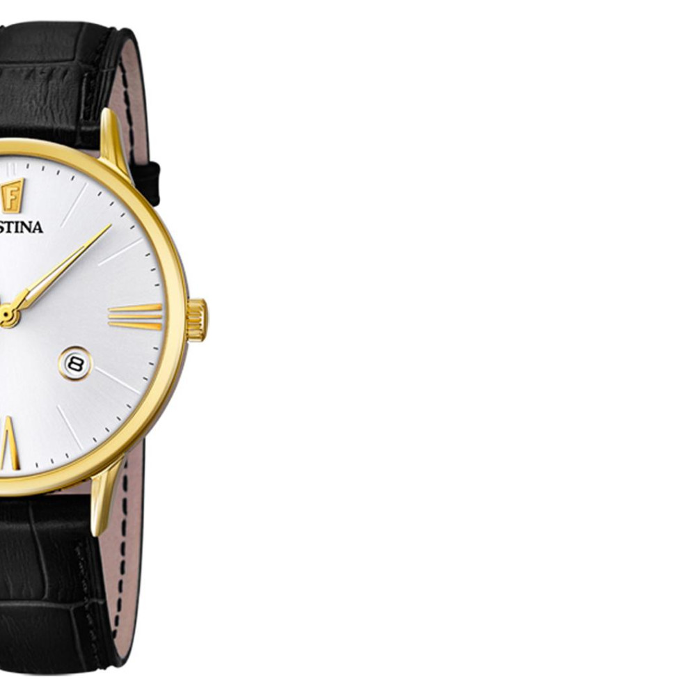 Festina Classic F168251 6