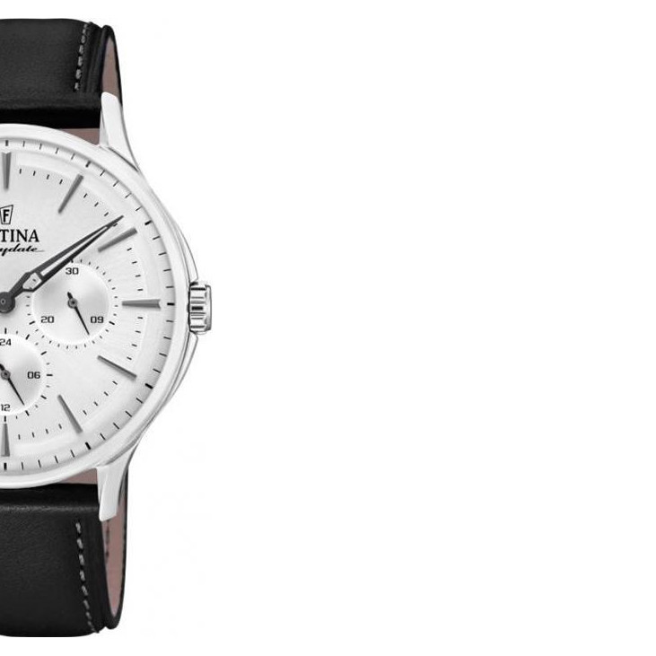 Festina Classic F169912 6