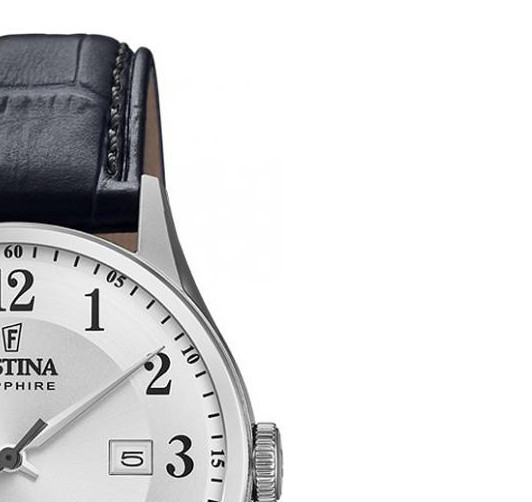 Festina Classic F200071 5