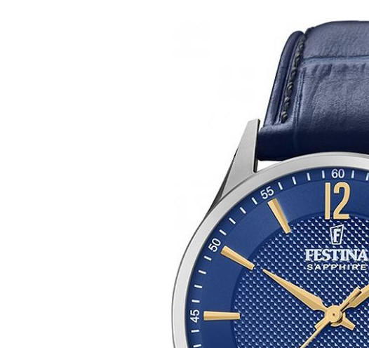 Festina Classic F200073 4