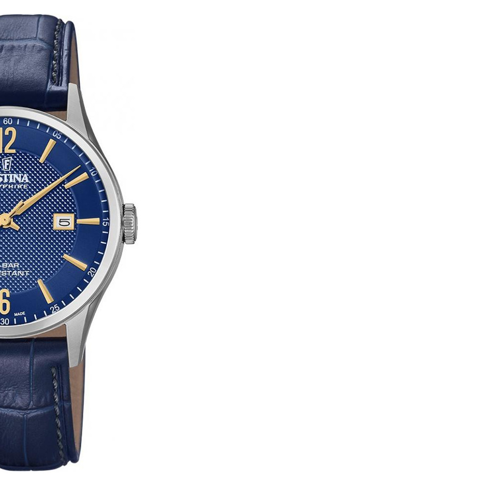 Festina Classic F200073 6