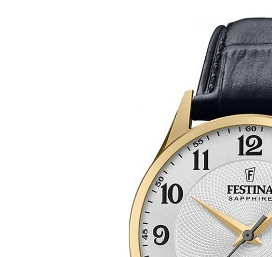 Festina Classic F200101 4