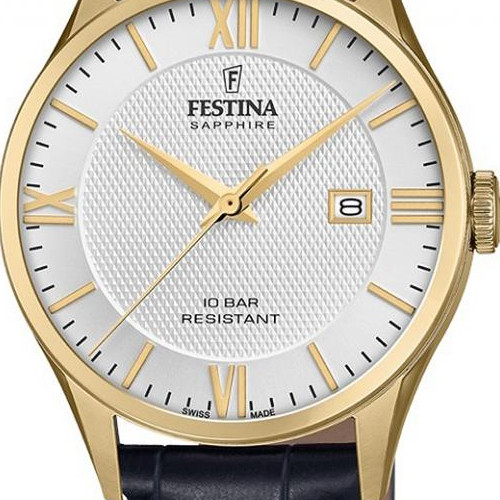 Festina Classic F200102 2
