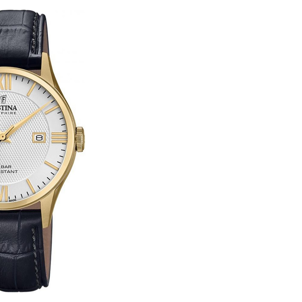 Festina Classic F200102 6