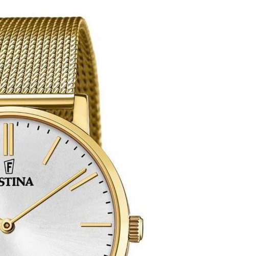 Festina Classic F20022/1 - zegarek męski 5