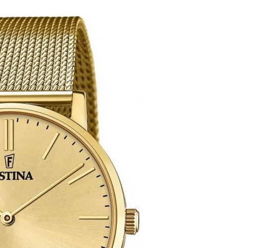 Festina Classic F20022/2 - zegarek męski 5