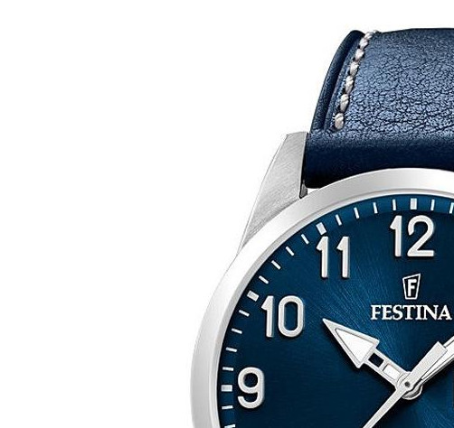 Festina Classic F20358C 4