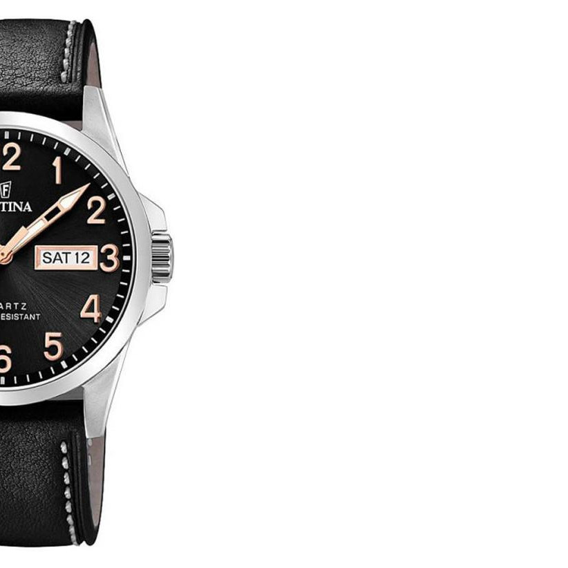 Festina Classic F20358D 6