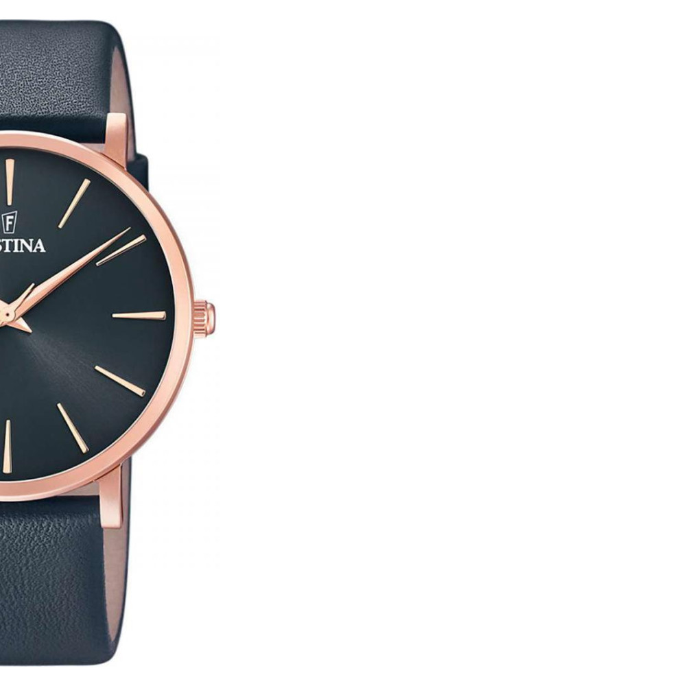 Festina Classic F203732 6