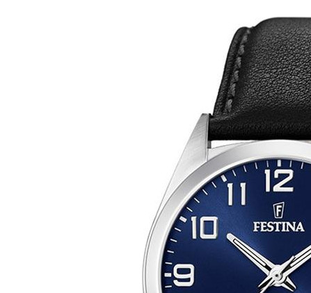 Festina Classic F204462 4