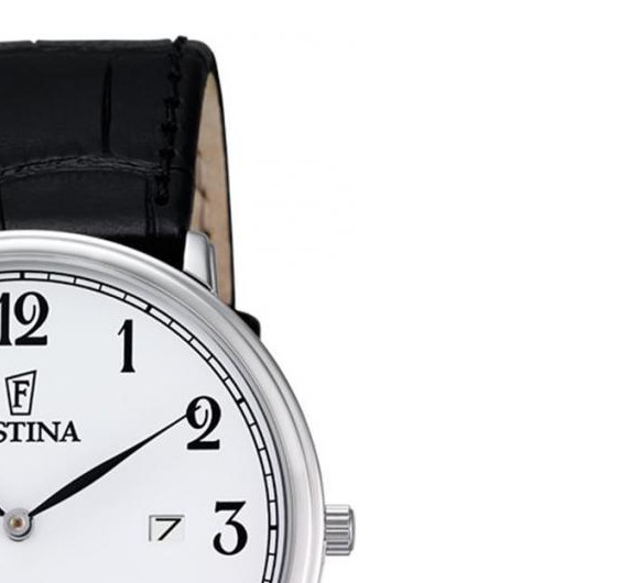 Festina Classic f68391 5