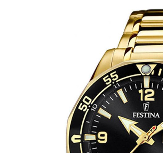 Festina Diver F204794 4