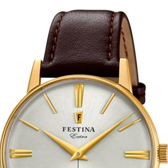 Festina Extra F202491 3