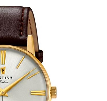 Festina Extra F202491 5