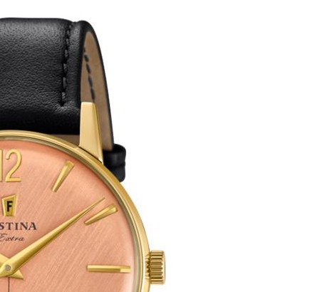 Festina Extra F202493 5