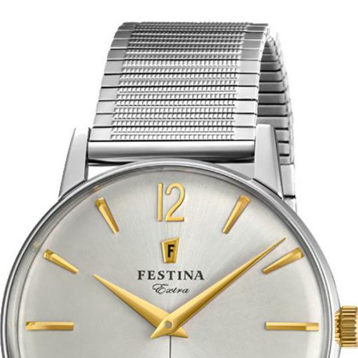 Festina Extra F202502 3