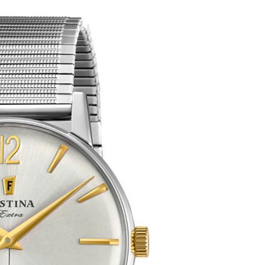 Festina Extra F202502 5