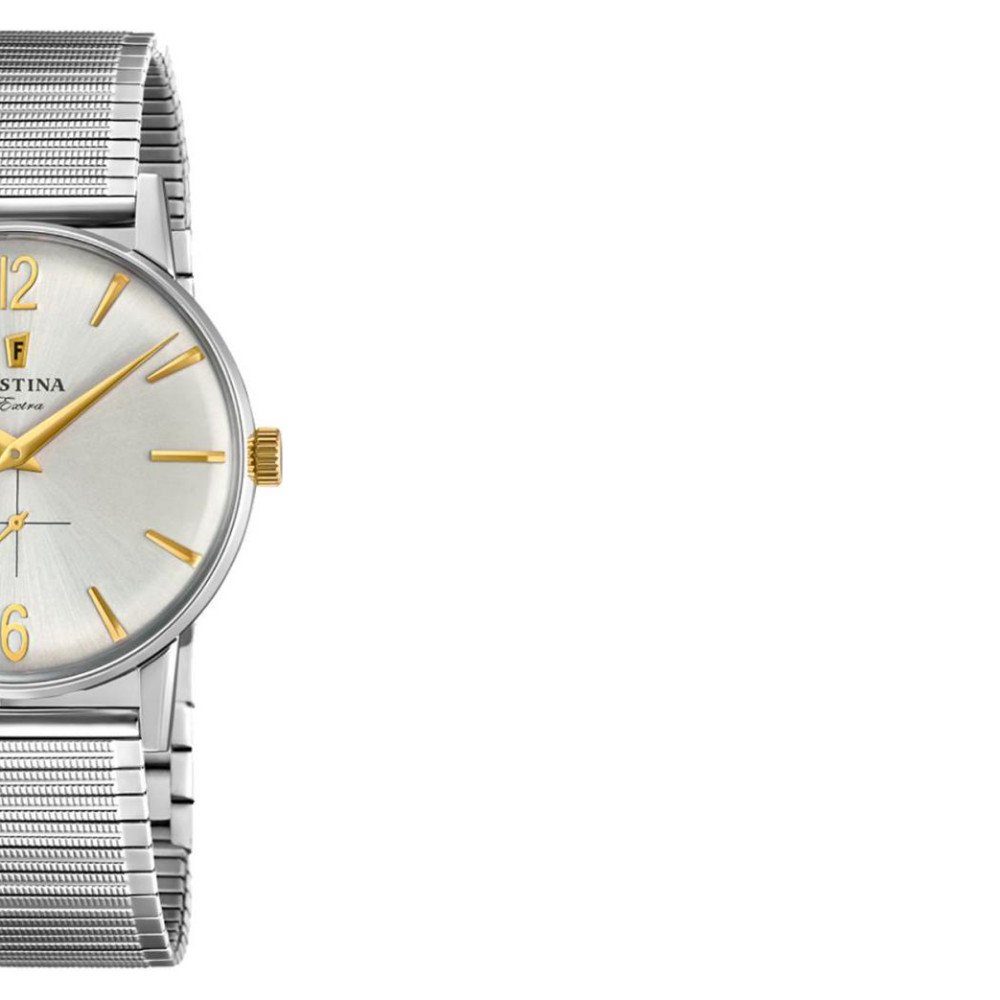 Festina Extra F202502 6