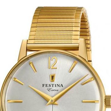 Festina Extra F202512 3