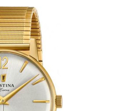 Festina Extra F202512 5