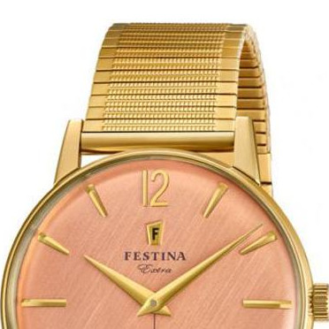 Festina Extra F202513 3