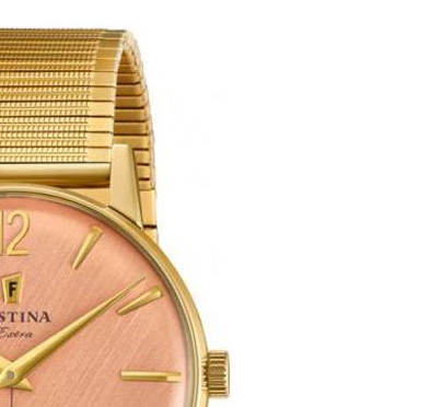 Festina Extra F202513 5
