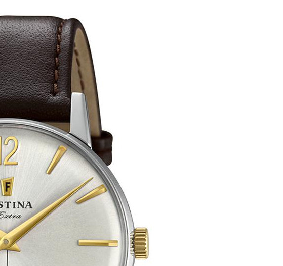 Festina Extra F202542 5