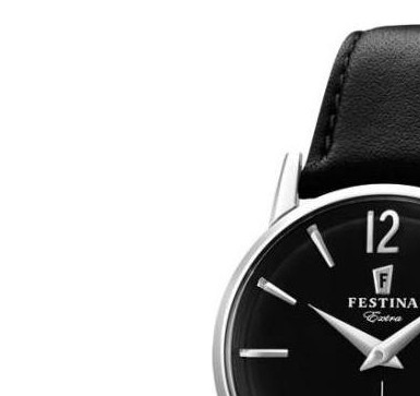 Festina Extra F202544 4
