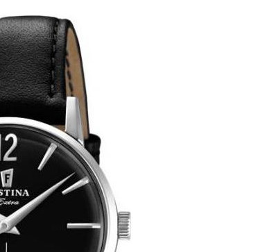 Festina Extra F202544 5