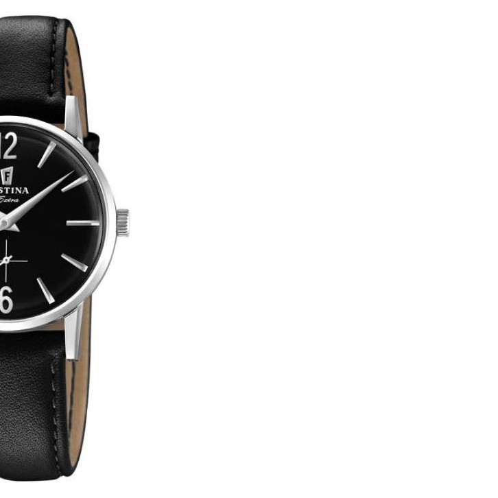 Festina Extra F202544 6