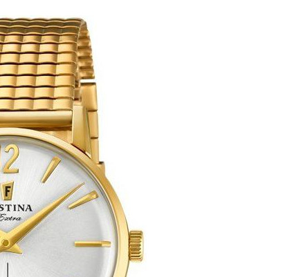 Festina Extra F202571 5