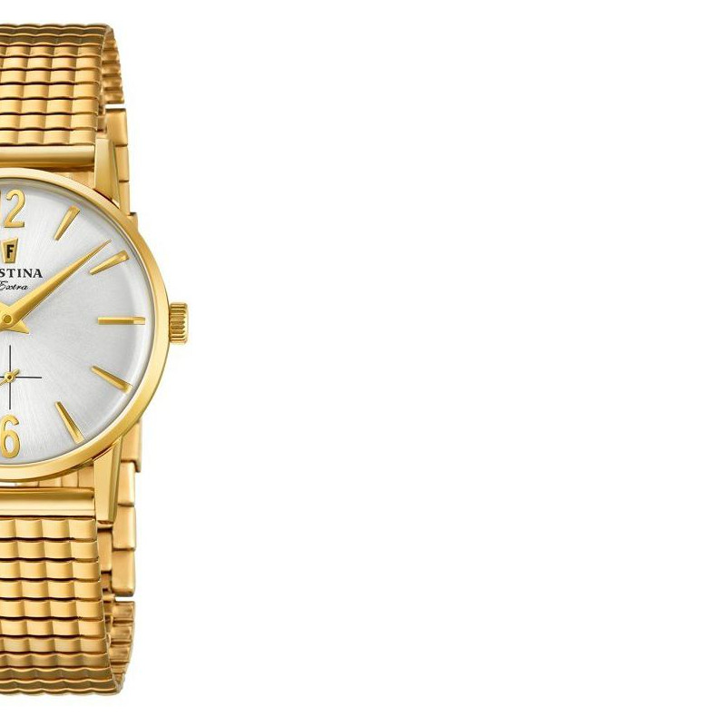 Festina Extra F202571 6