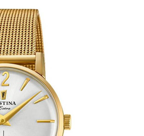 Festina Extra F202591 5