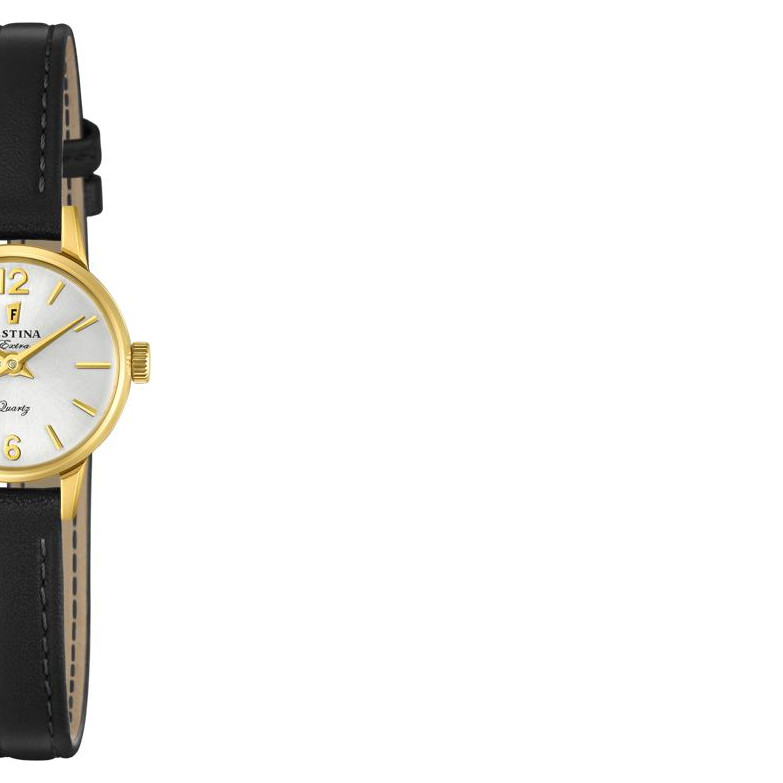 Festina Extra F202611 6